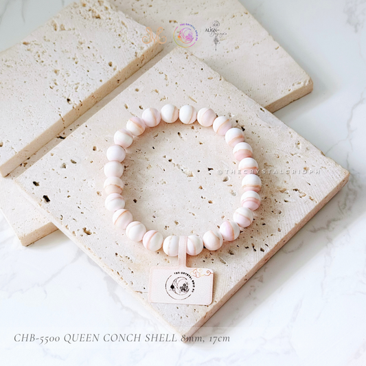 Queen Conch Shell
