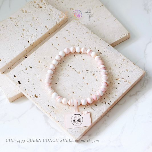 Queen Conch Shell